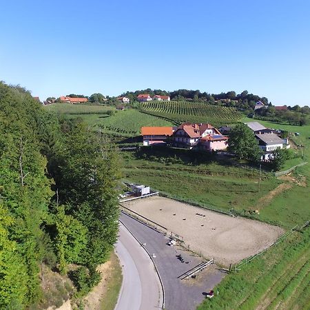 Guesthouse Kaucic Benedikt v Slovenskih Goricah Екстер'єр фото