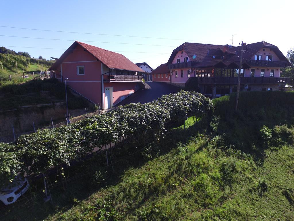 Guesthouse Kaucic Benedikt v Slovenskih Goricah Екстер'єр фото