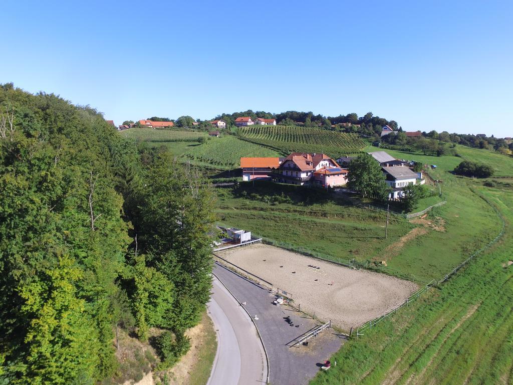 Guesthouse Kaucic Benedikt v Slovenskih Goricah Екстер'єр фото