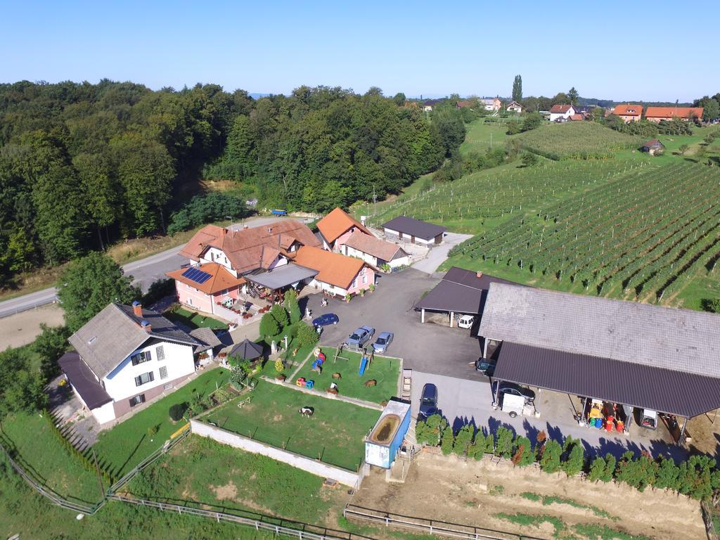 Guesthouse Kaucic Benedikt v Slovenskih Goricah Екстер'єр фото